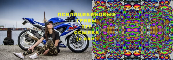 прущие грибы Навашино