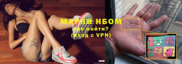 прущие грибы Навашино