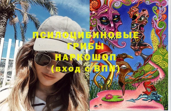 прущие грибы Навашино